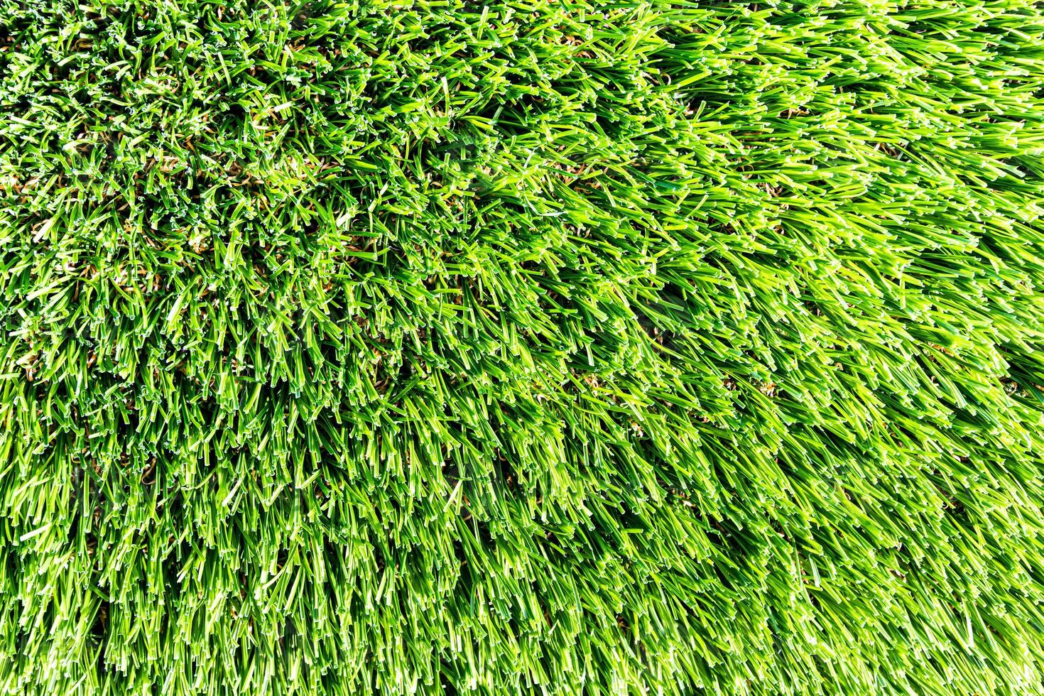 Artificial green grass or needles texture. photo