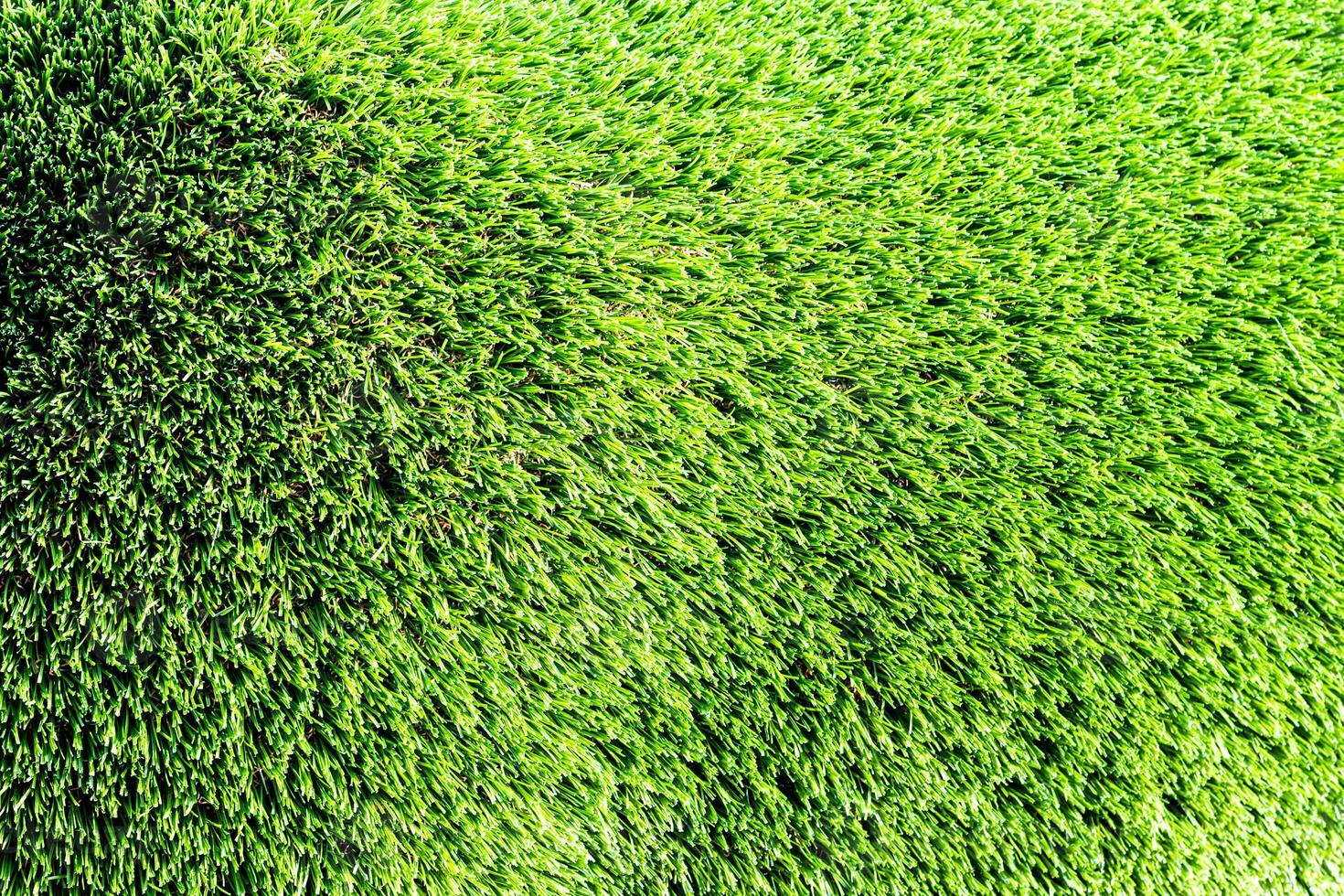 Artificial green grass or needles texture. photo