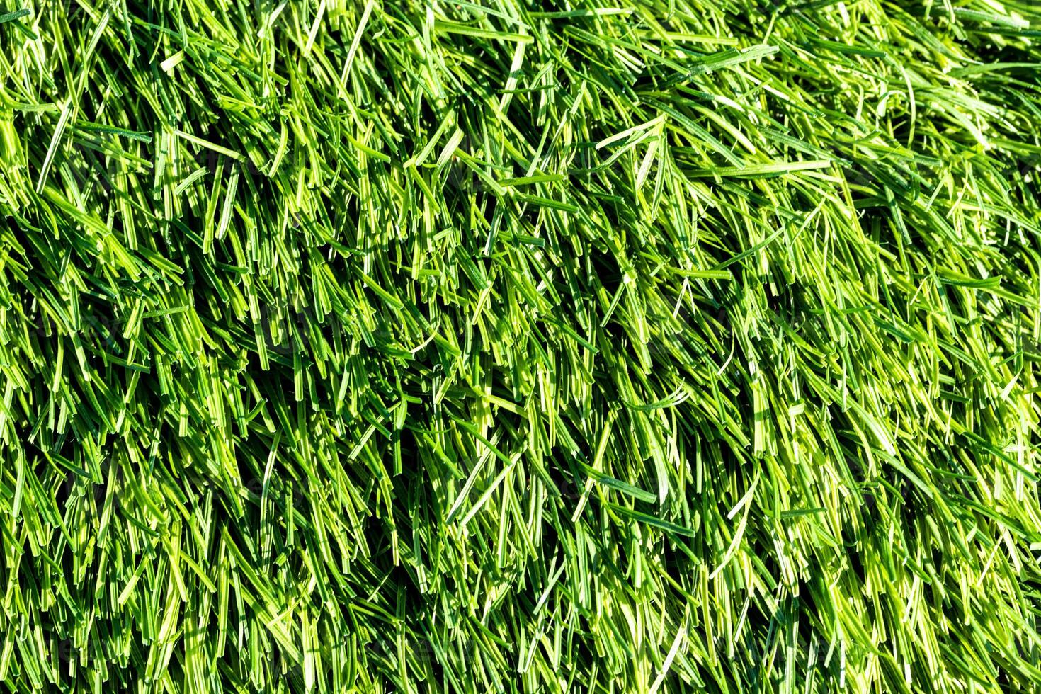 Artificial green grass or needles texture. photo
