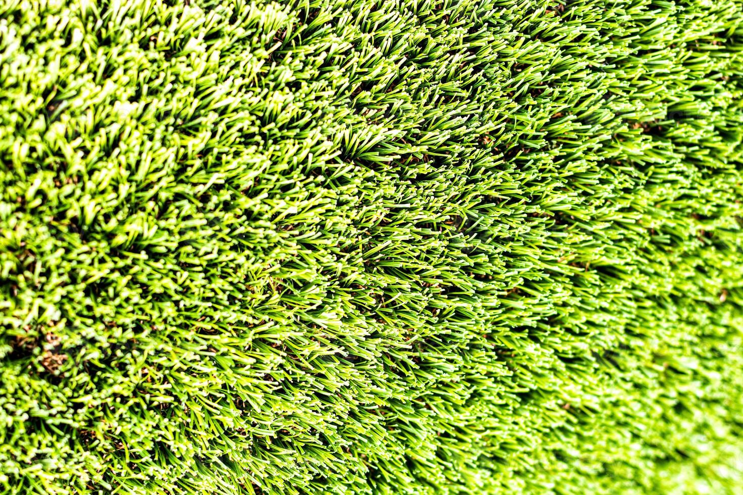 Artificial green grass or needles texture. photo