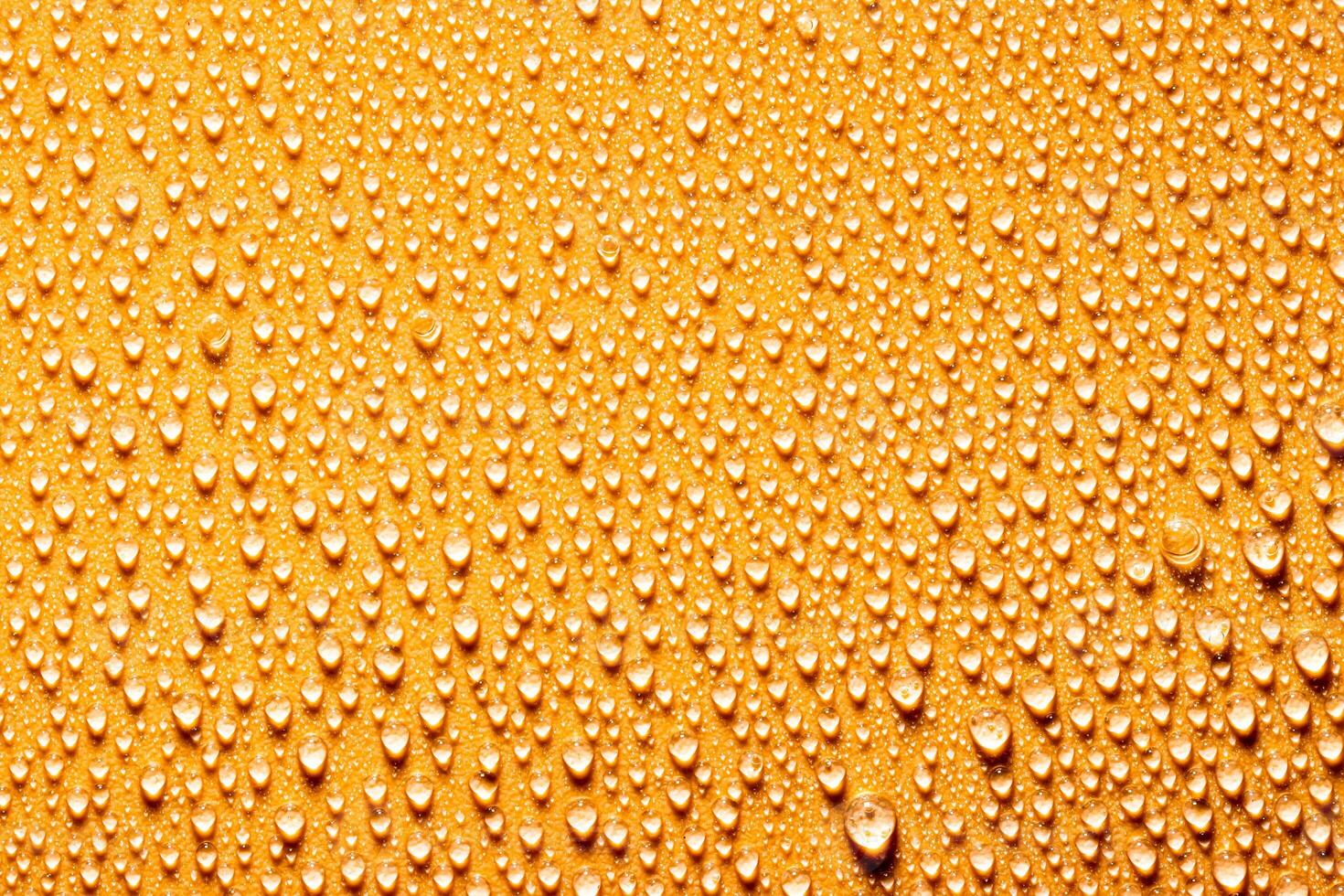 Macro water drops texture. photo