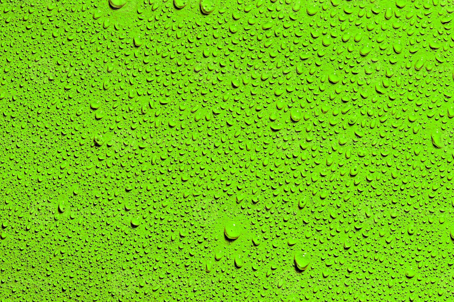 Macro water drops texture. photo