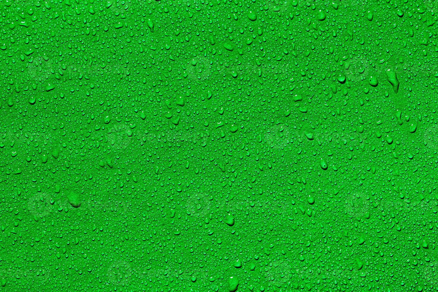Macro water drops texture. photo