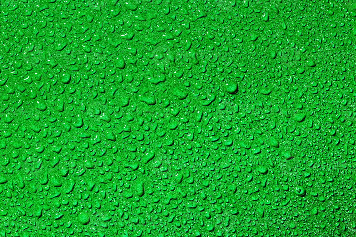 Macro water drops texture. photo