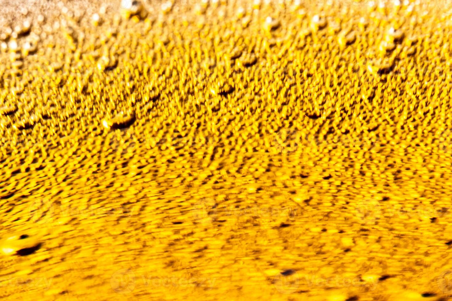 Texture of gas bubbles in light beer. photo