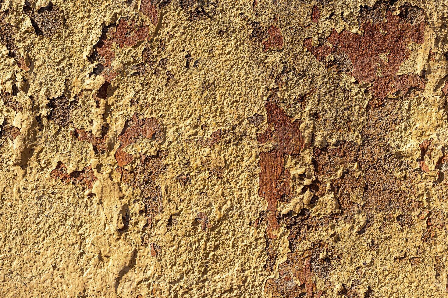 Texture of concrete or plastered wall. photo