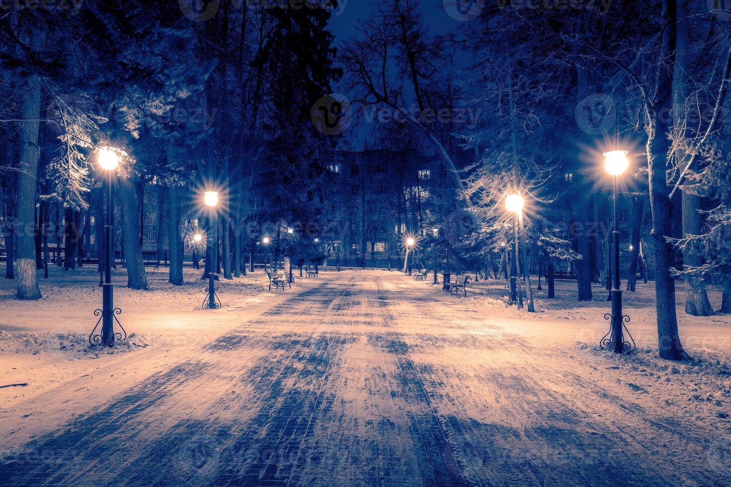 Winter night park with lanterns, benches and trees covered with a snow. photo