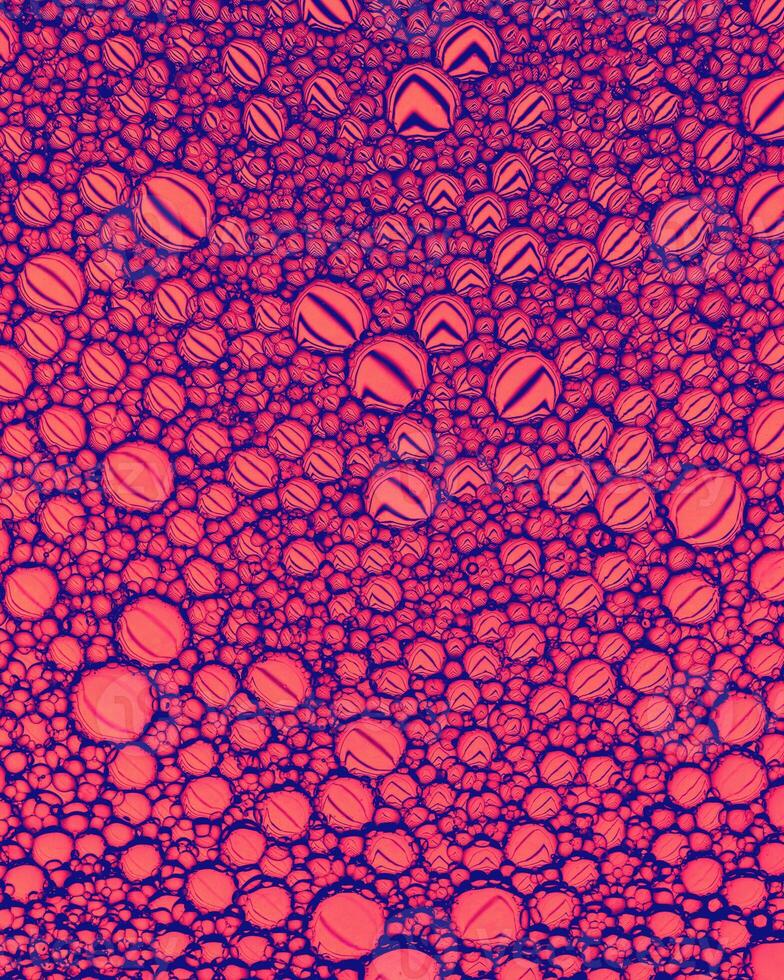 Top view on colorful drops of oil on the water. Circles and ovals. photo