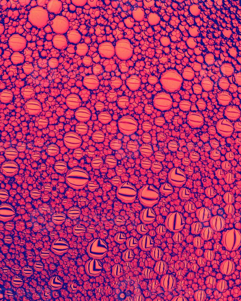 Top view on colorful drops of oil on the water. Circles and ovals. photo