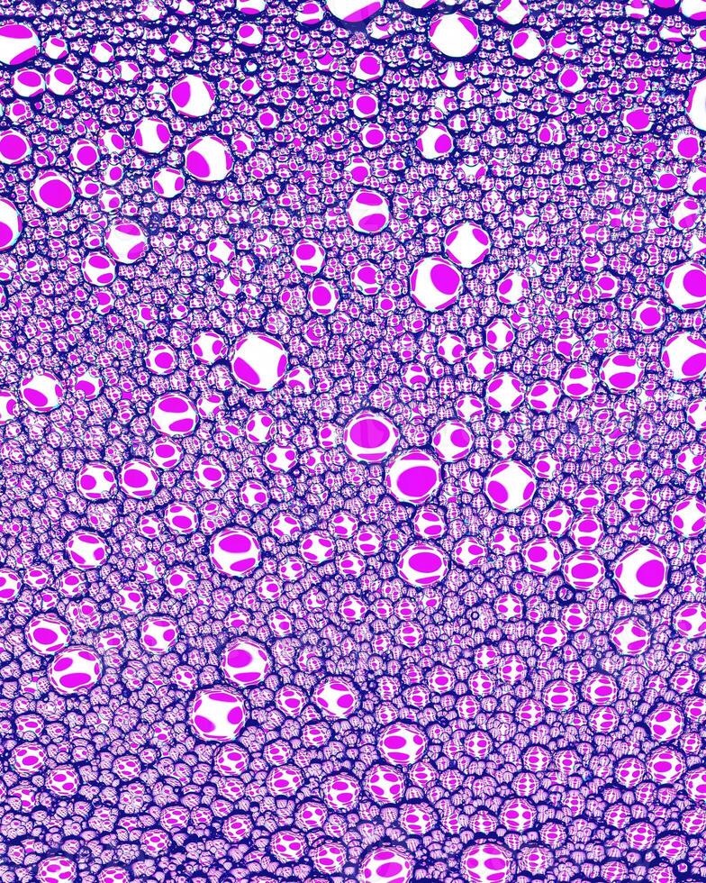 Top view on colorful drops of oil on the water. Circles and ovals. photo