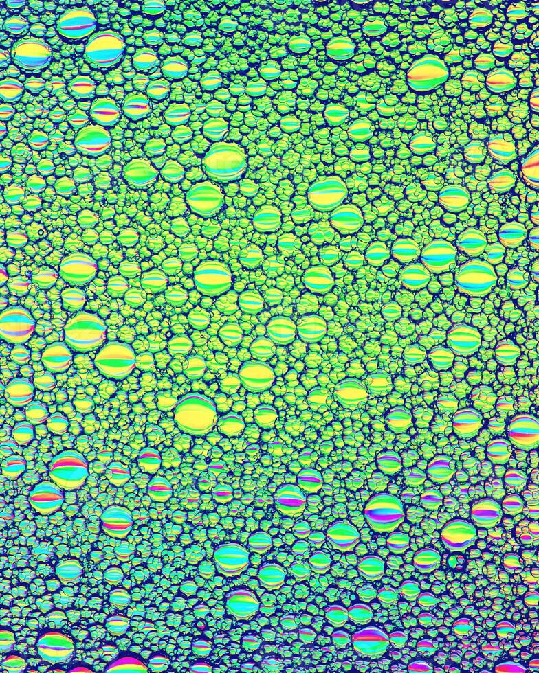 Top view on colorful drops of oil on the water. Circles and ovals. photo