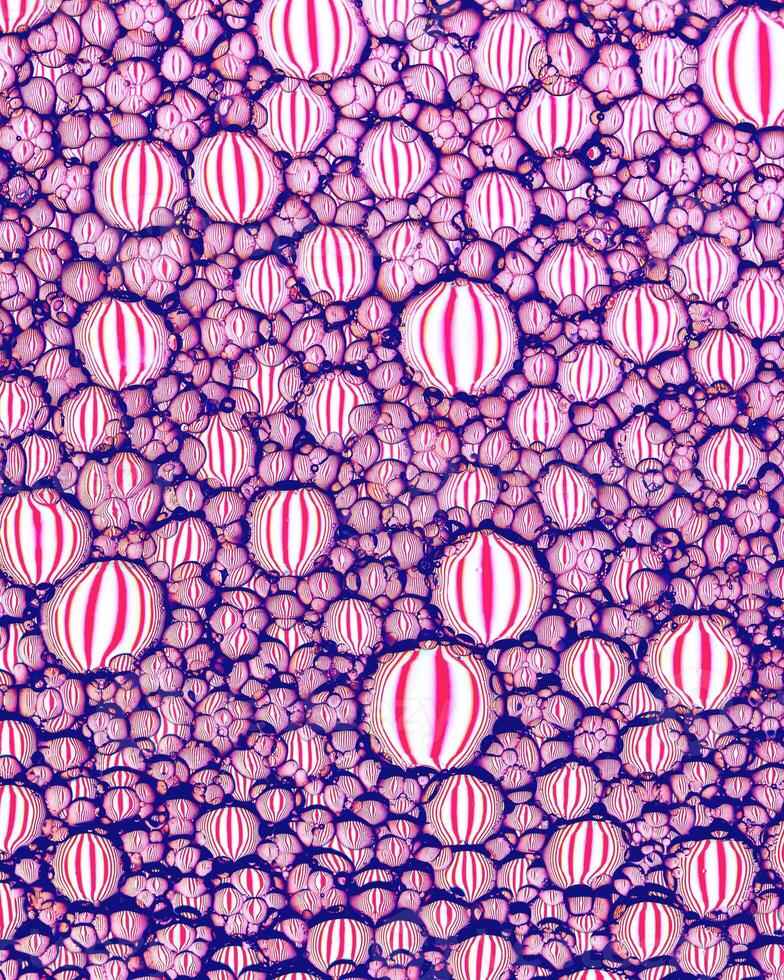 Top view on colorful drops of oil on the water. Circles and ovals. photo