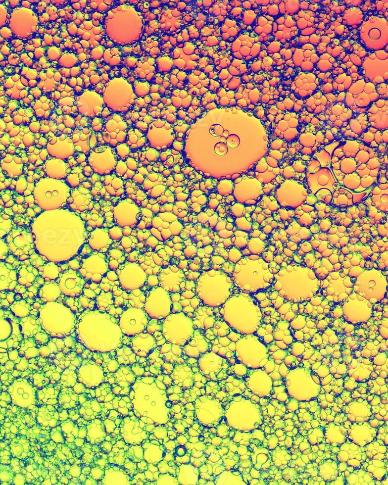 Top view on colorful drops of oil on the water. Circles and ovals. photo