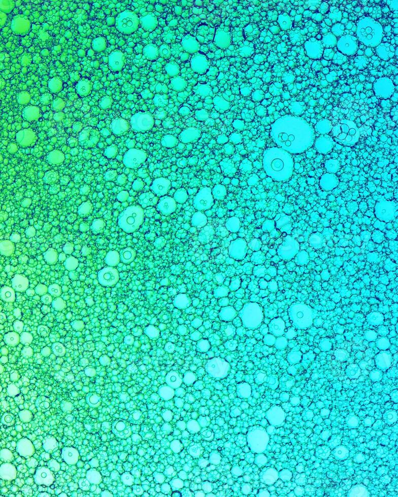 Top view on colorful drops of oil on the water. Circles and ovals. photo
