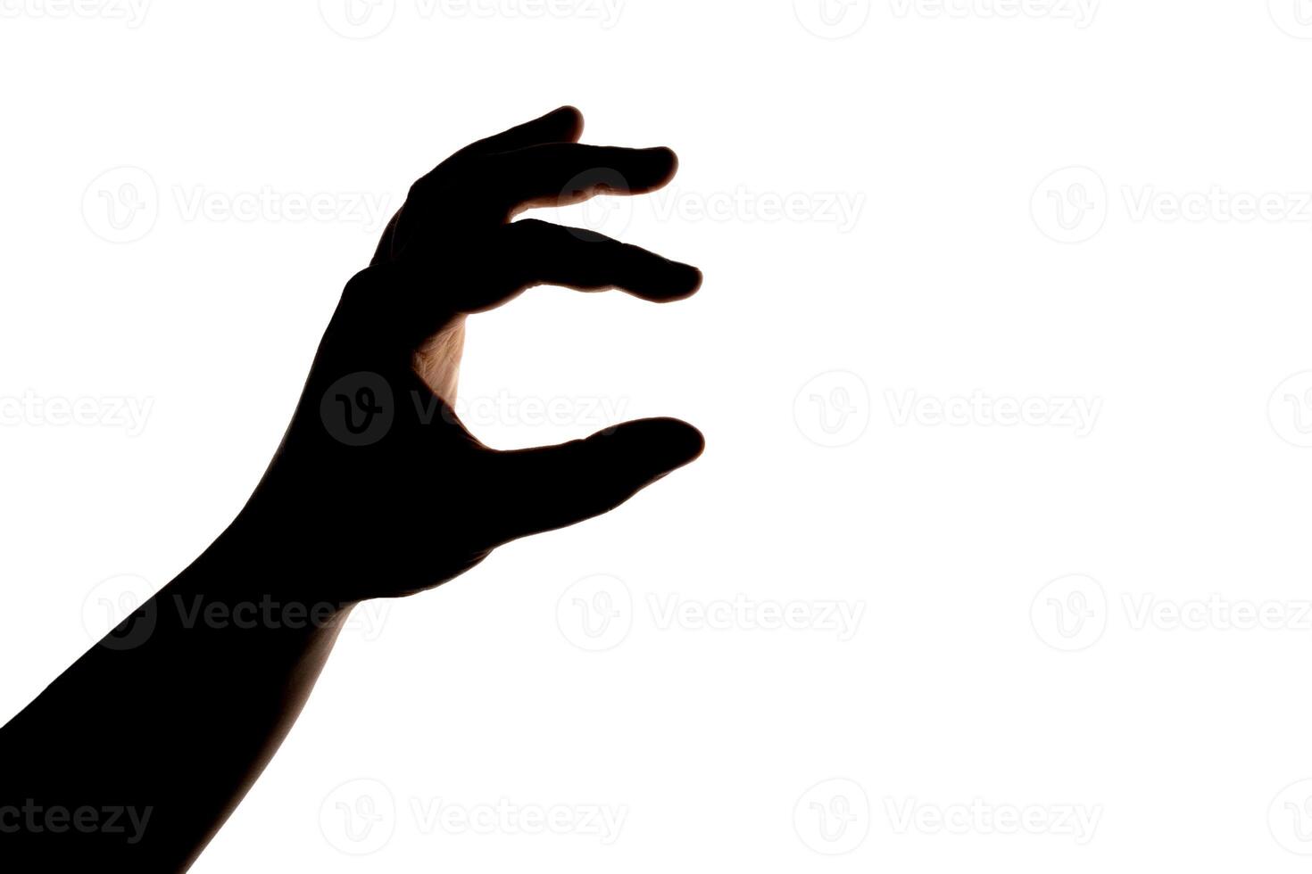 Silhouette of hand showing gesture isolated on white background. Blank for design. photo