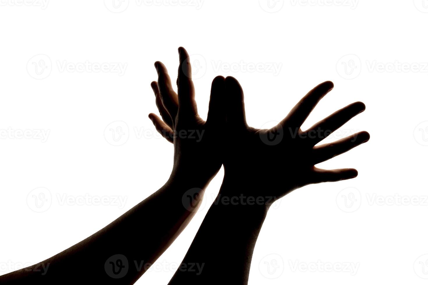 Silhouette of hands showing flying bird wings gesture isolated on white background. Blank for design. photo