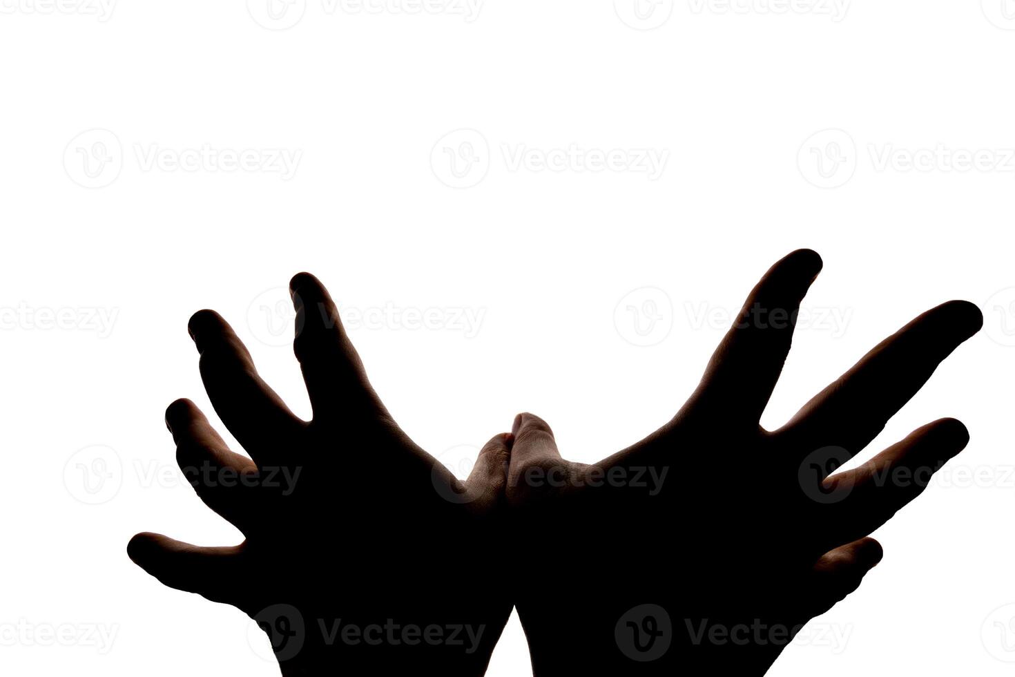 Silhouette of hands showing flying bird wings gesture isolated on white background. Blank for design. photo