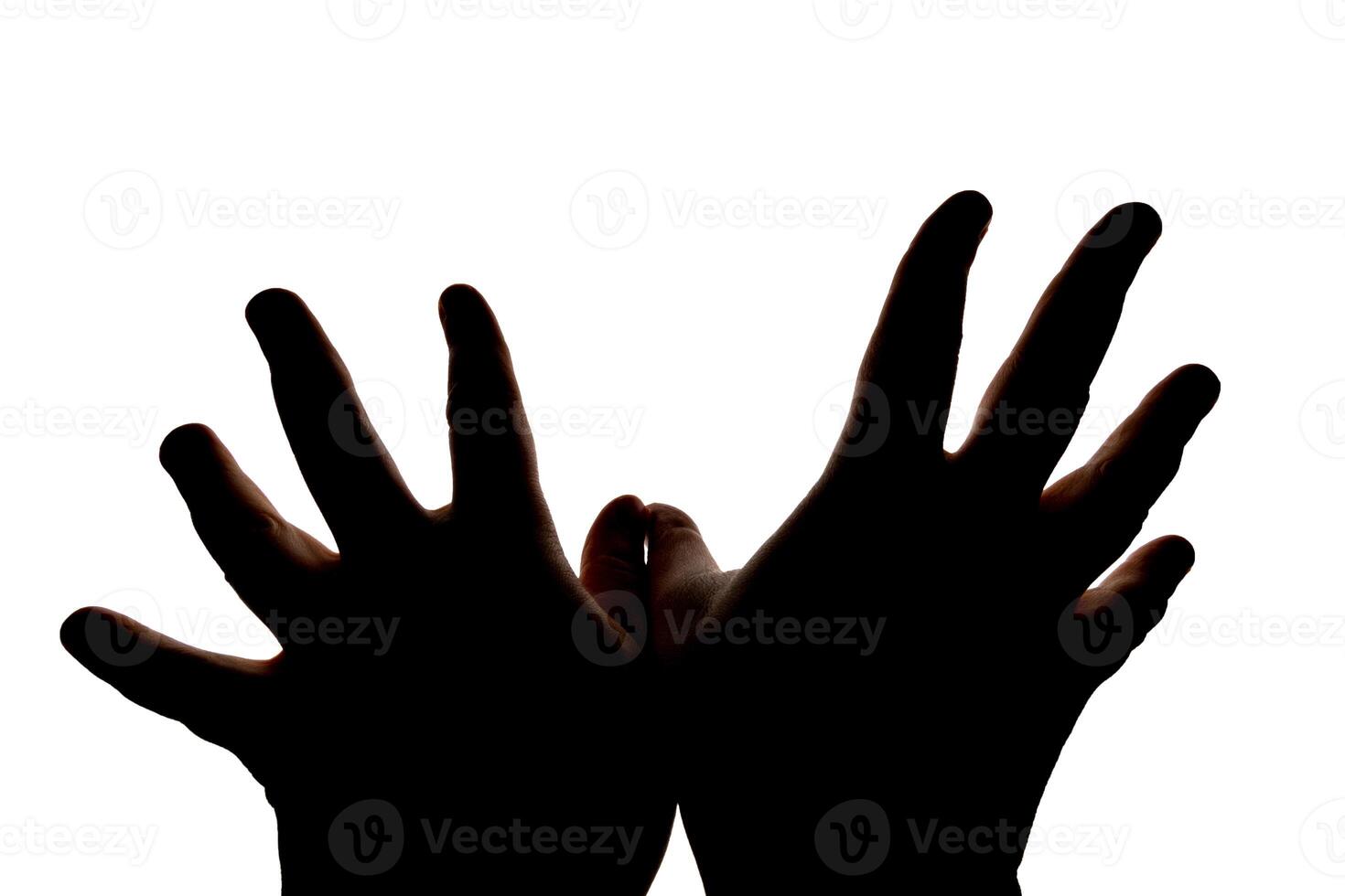 Silhouette of hands showing flying bird wings gesture isolated on white background. Blank for design. photo