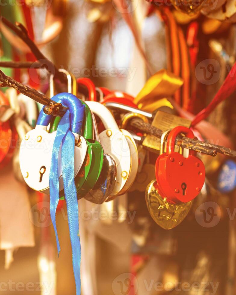 Many wedding colorful locks. photo