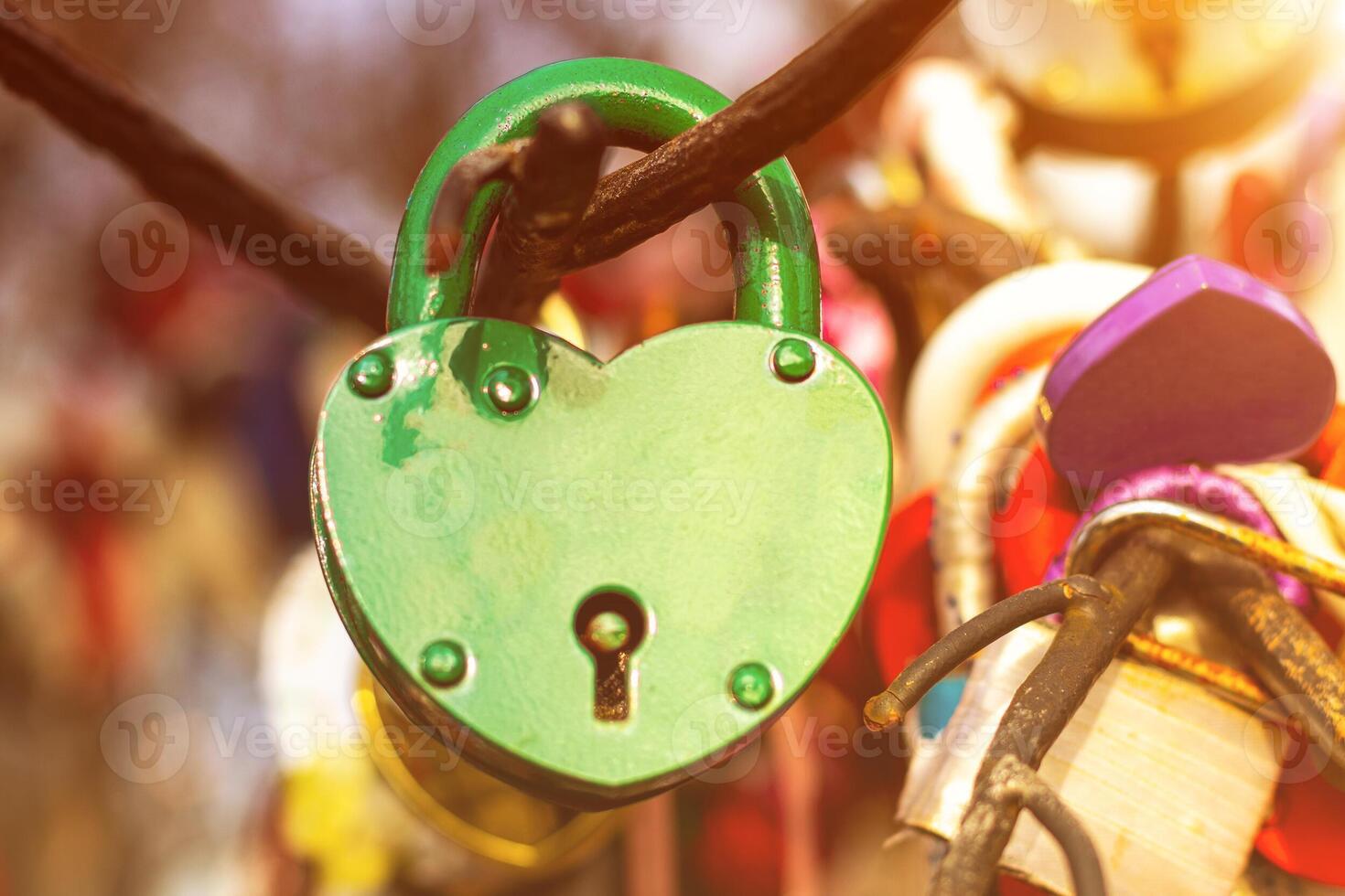 Many wedding colorful locks. photo