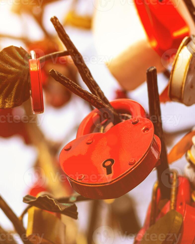 Many wedding colorful locks. photo