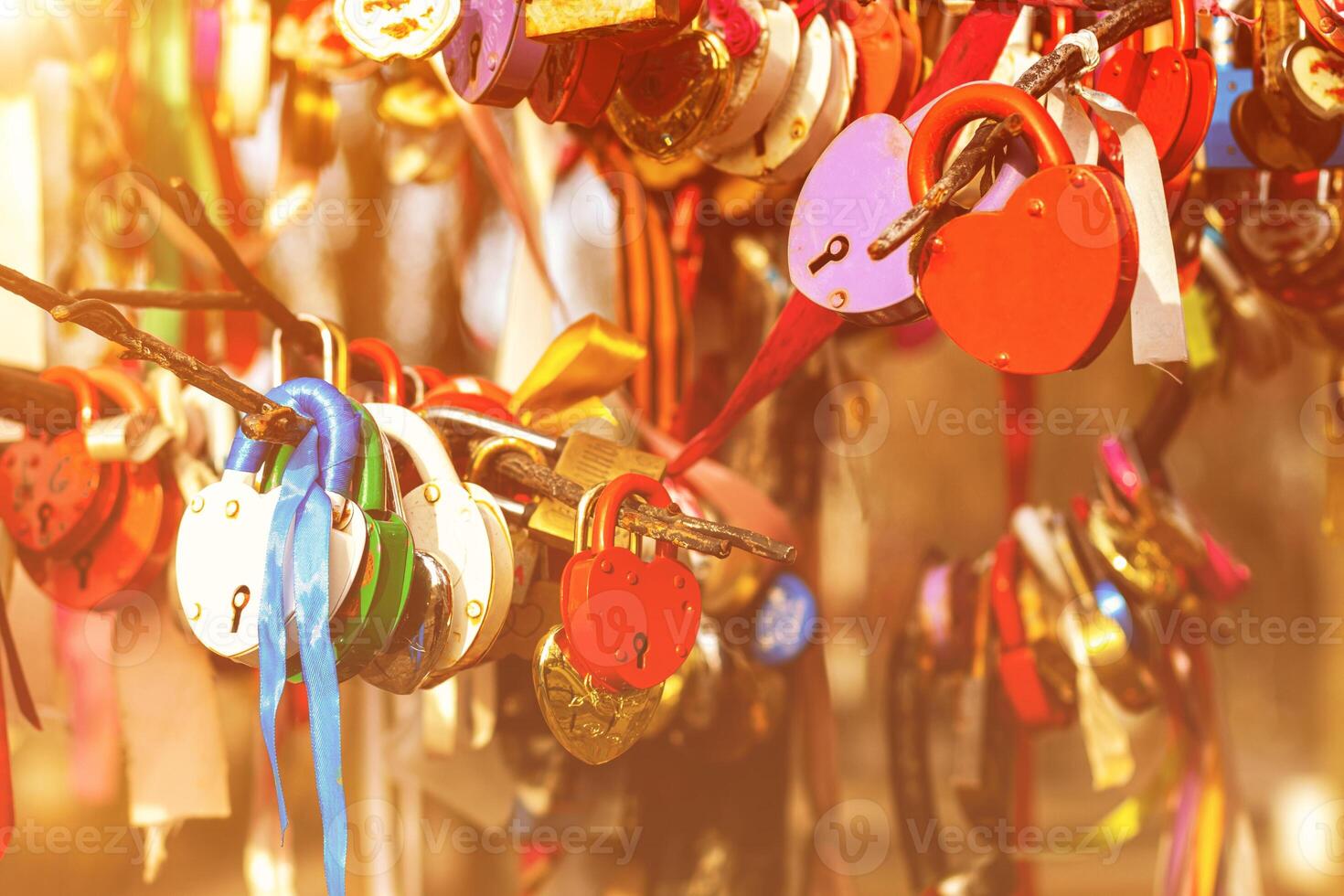 Many wedding colorful locks. photo
