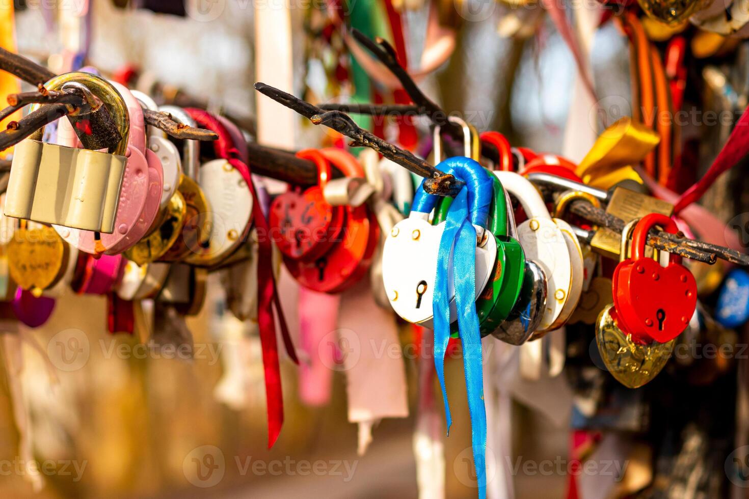 Many wedding colorful locks. photo