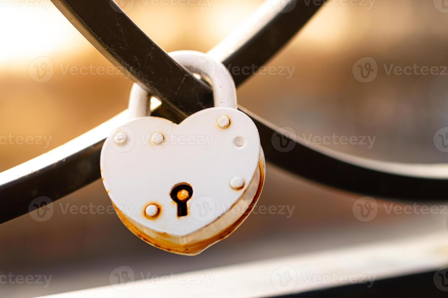 White wedding lock on a fence photo