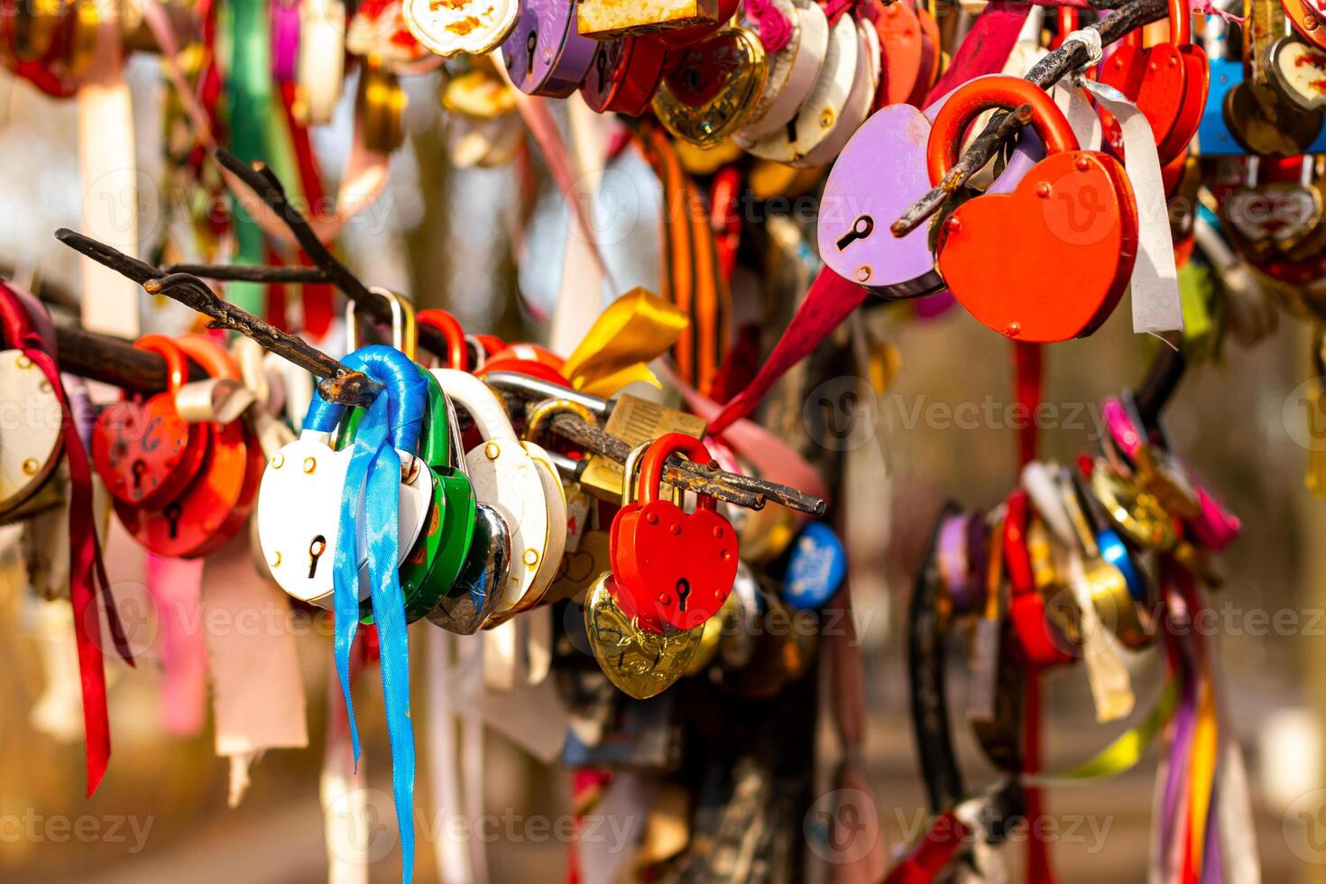 Many wedding colorful locks. photo