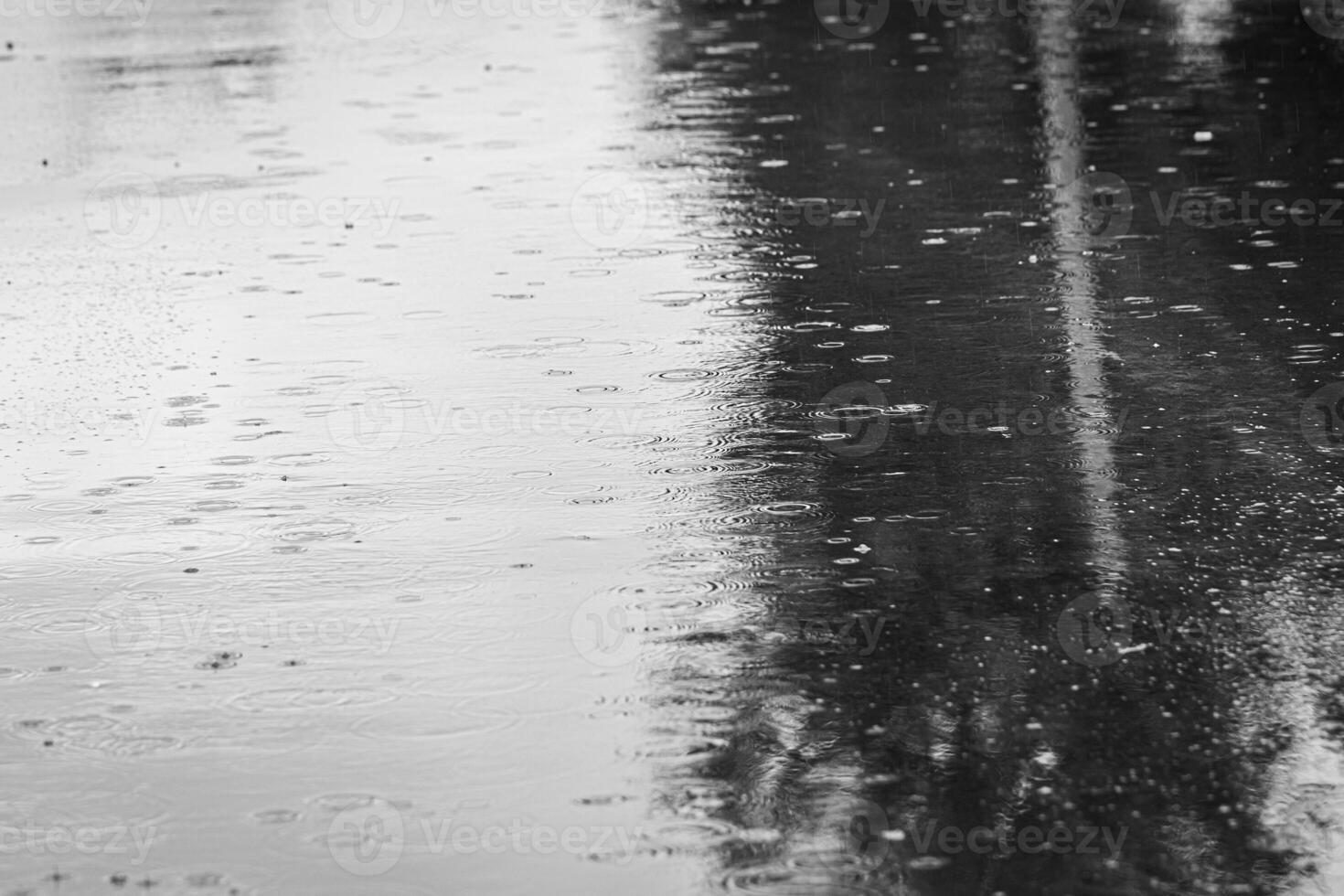 Raindrops falling into a puddle and leaving circles on the water. photo