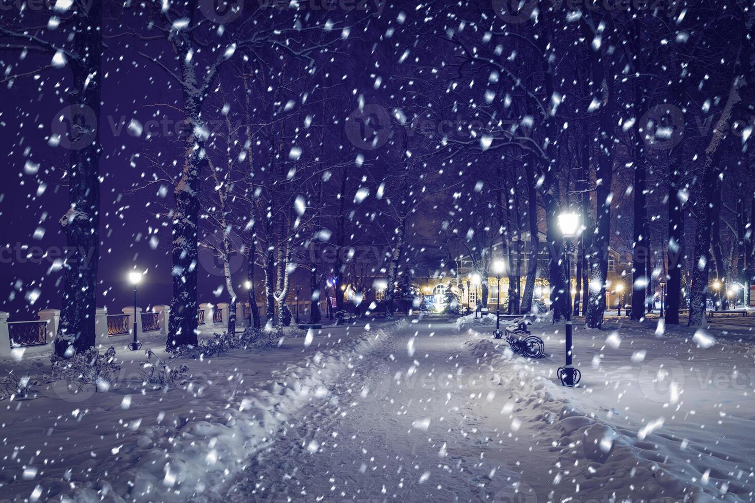 Winter night park with lanterns, pavement and trees covered with snow in snowfall. photo