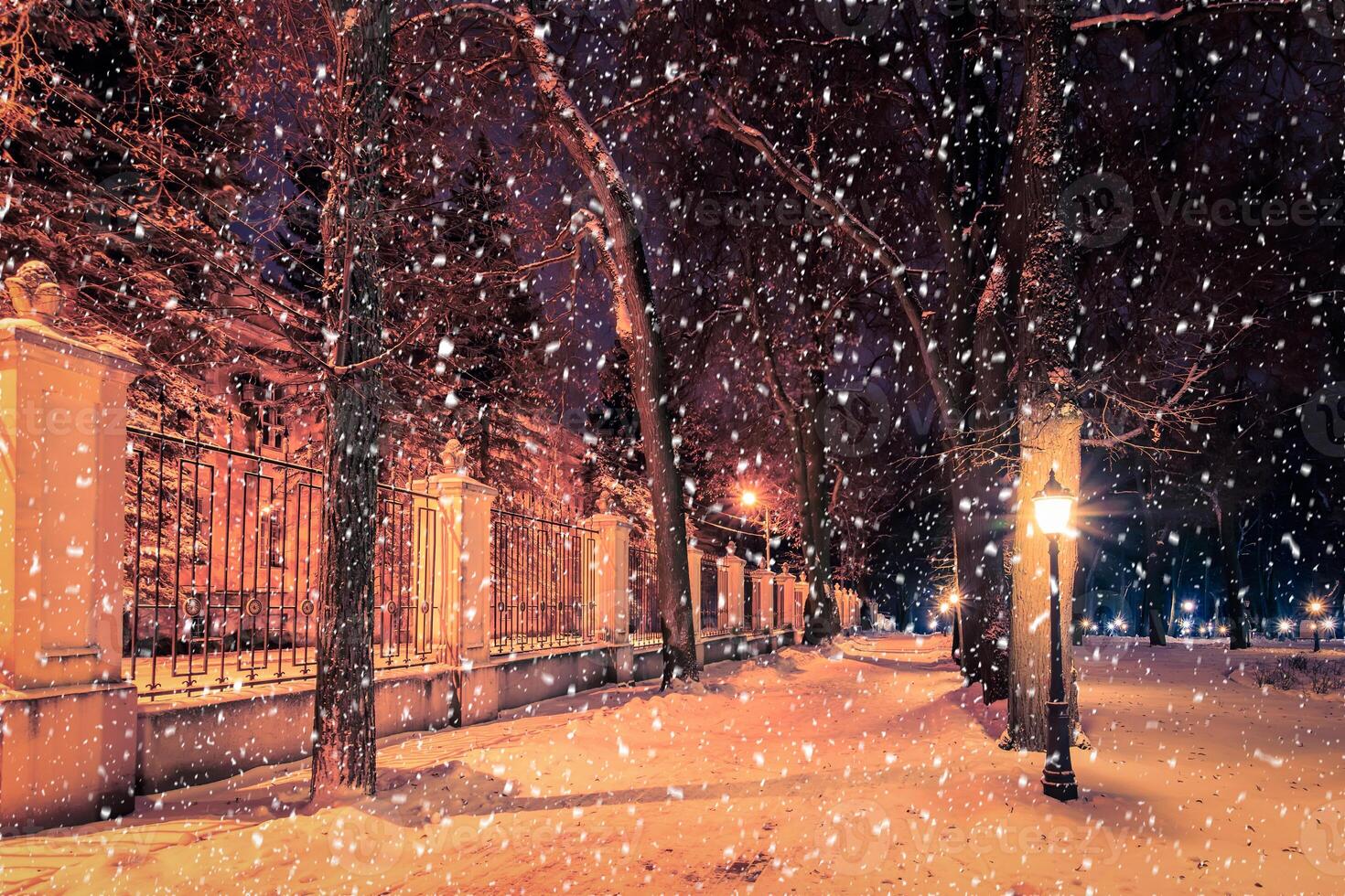 Winter night park with lanterns, pavement and trees covered with snow in snowfall. photo
