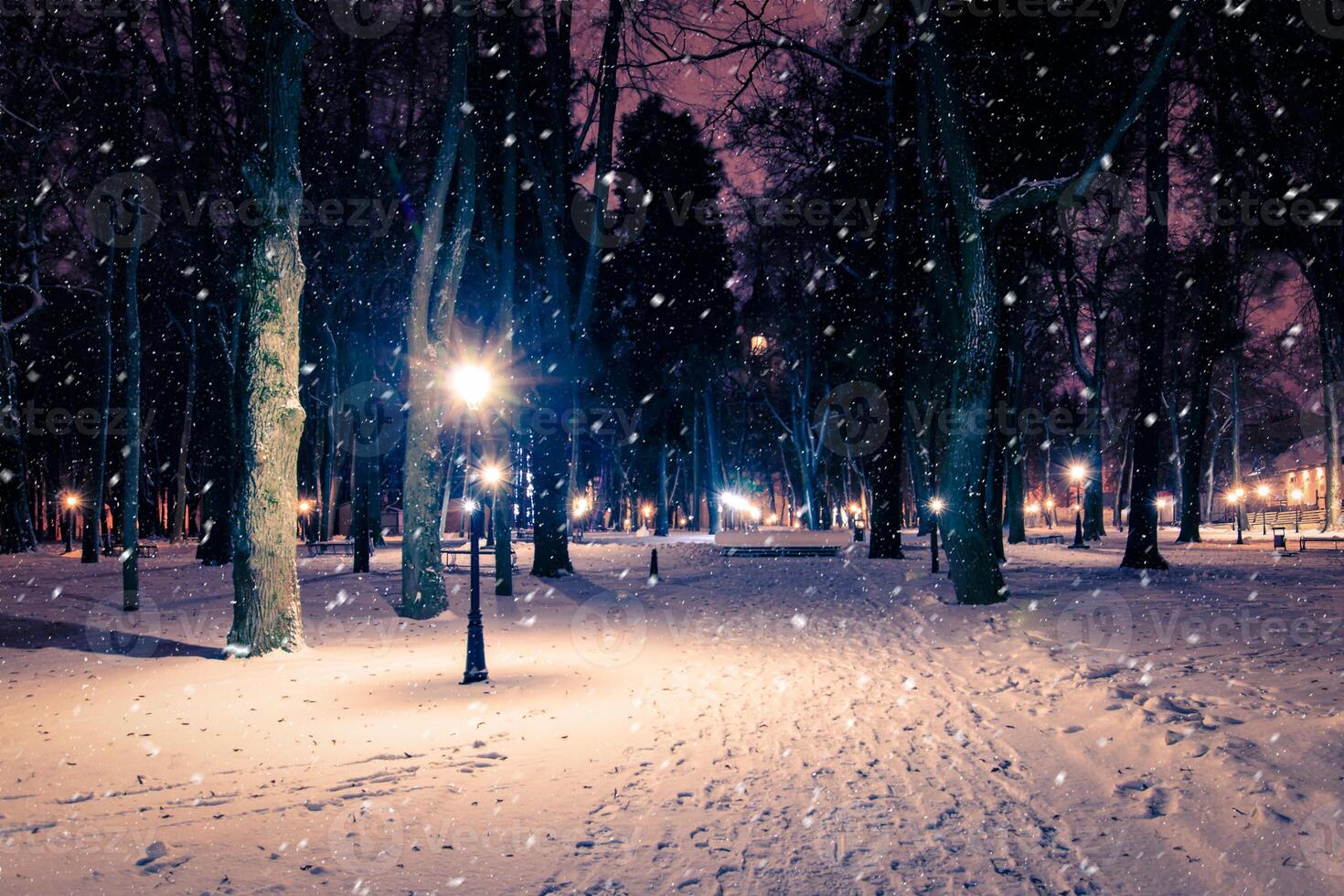 Winter night park with lanterns, pavement and trees covered with snow in snowfall. photo
