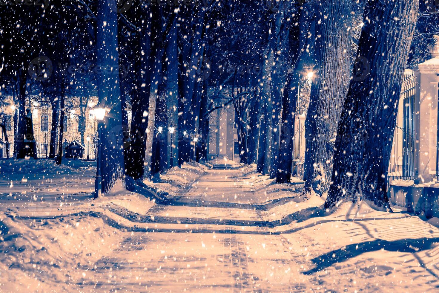 Winter night park with lanterns, pavement and trees covered with snow in snowfall. photo