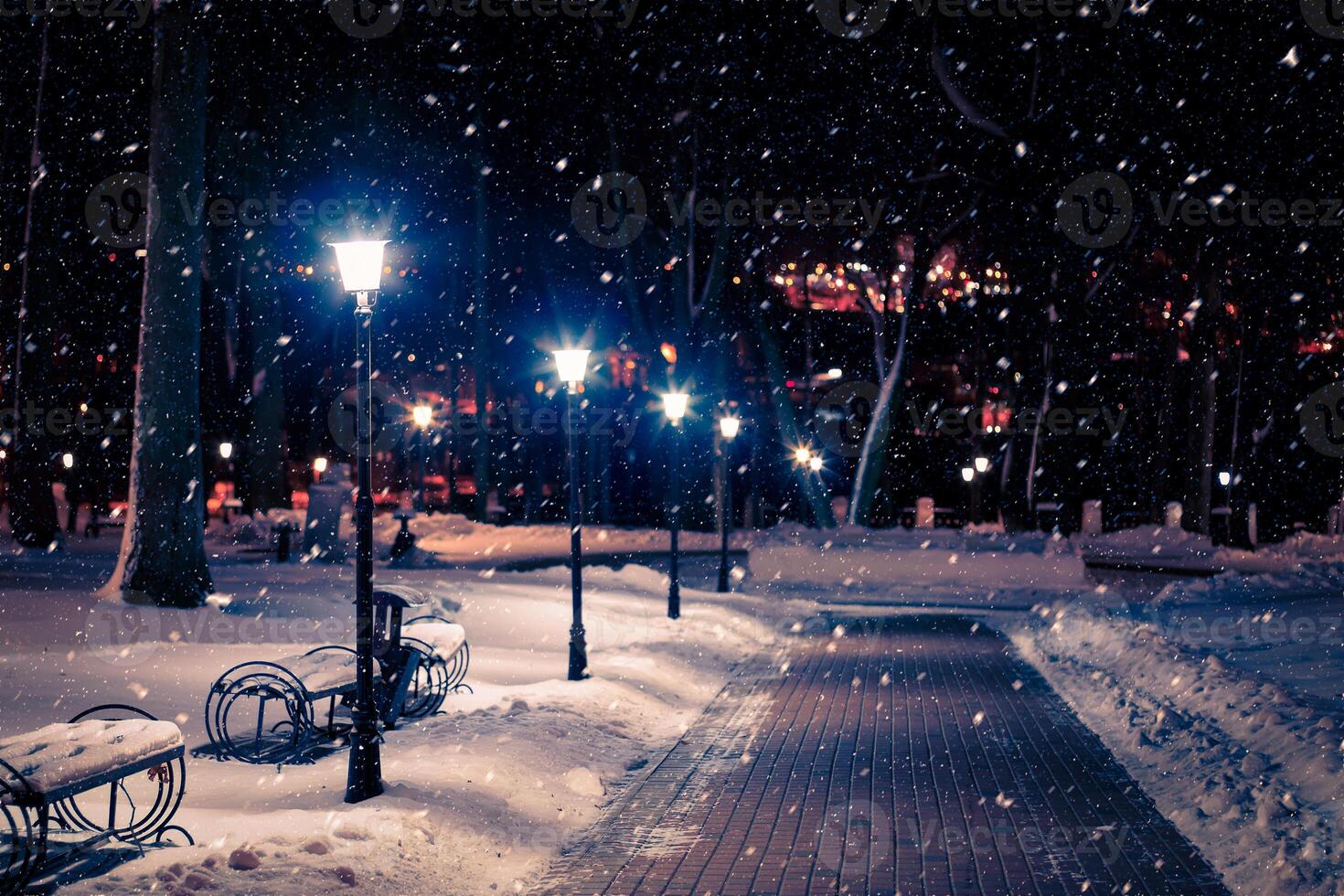 Winter night park with lanterns, pavement and trees covered with snow in snowfall. photo