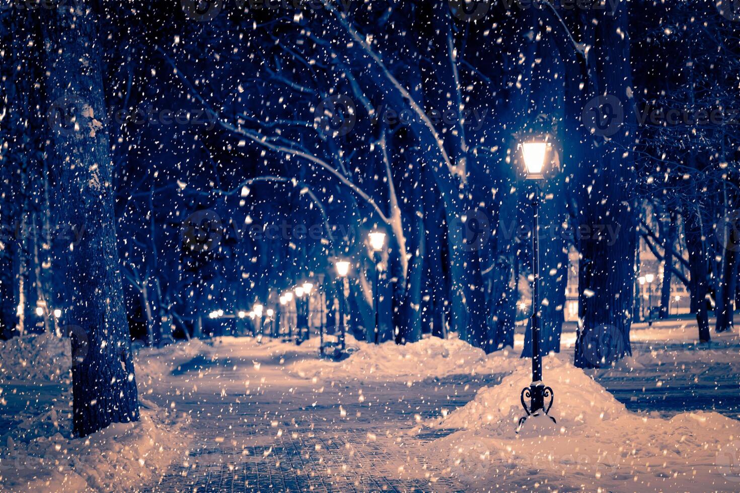 Winter night park with lanterns, pavement and trees covered with snow in snowfall. photo