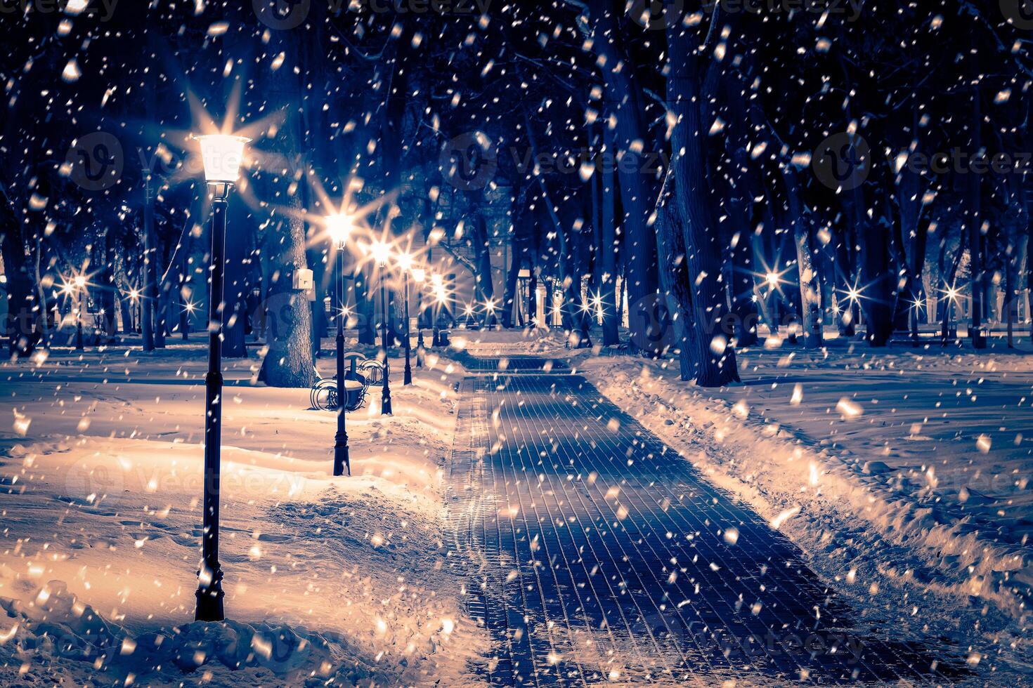 Winter night park with lanterns, pavement and trees covered with snow in snowfall. photo