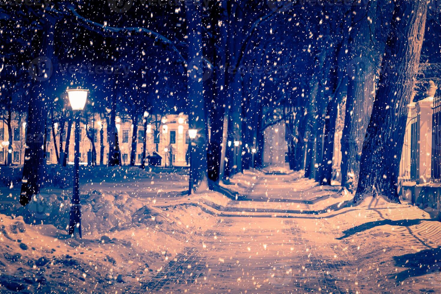 Winter night park with lanterns, pavement and trees covered with snow in snowfall. photo