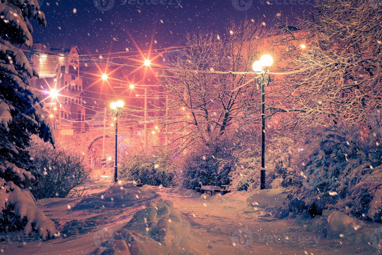 Winter night park with lanterns, pavement and trees covered with snow in snowfall. photo