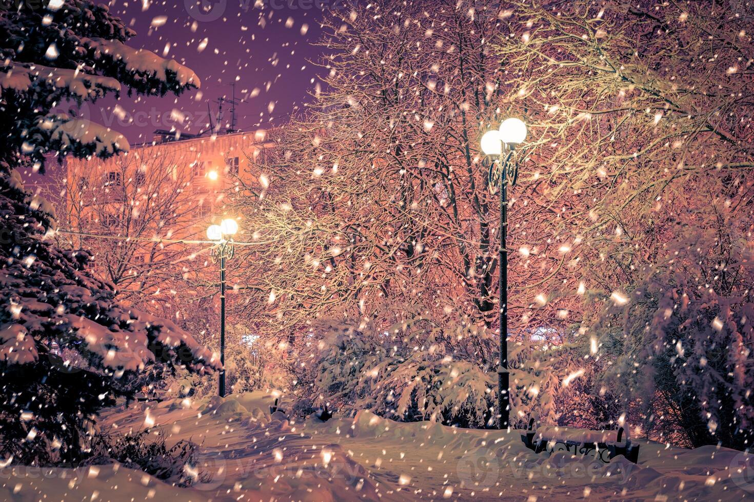 Winter night park with lanterns, pavement and trees covered with snow in snowfall. photo