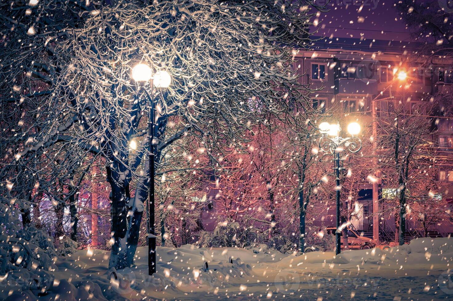 Winter night park with lanterns, pavement and trees covered with snow in snowfall. photo