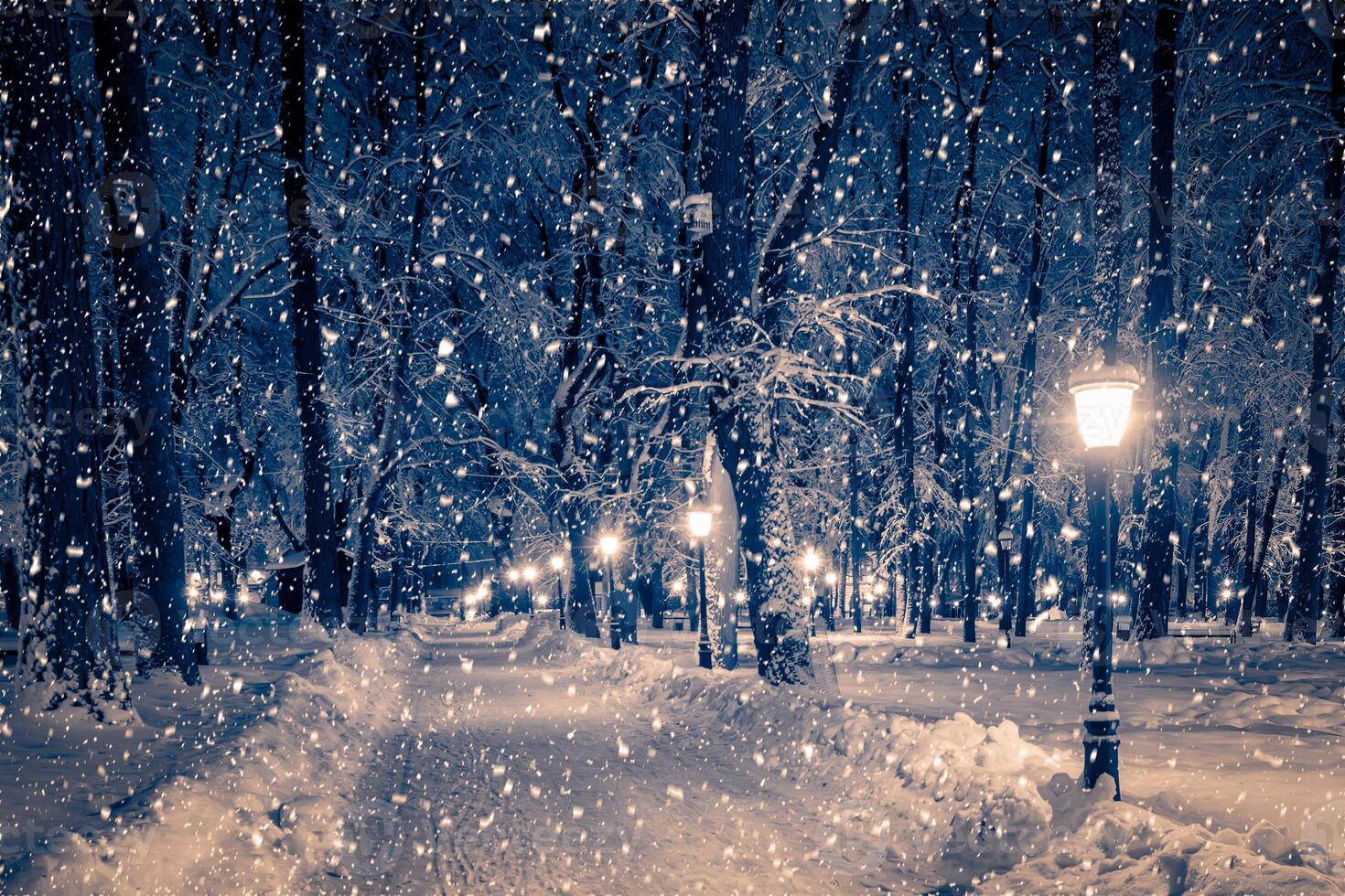 Winter night park with lanterns, pavement and trees covered with snow in snowfall. photo