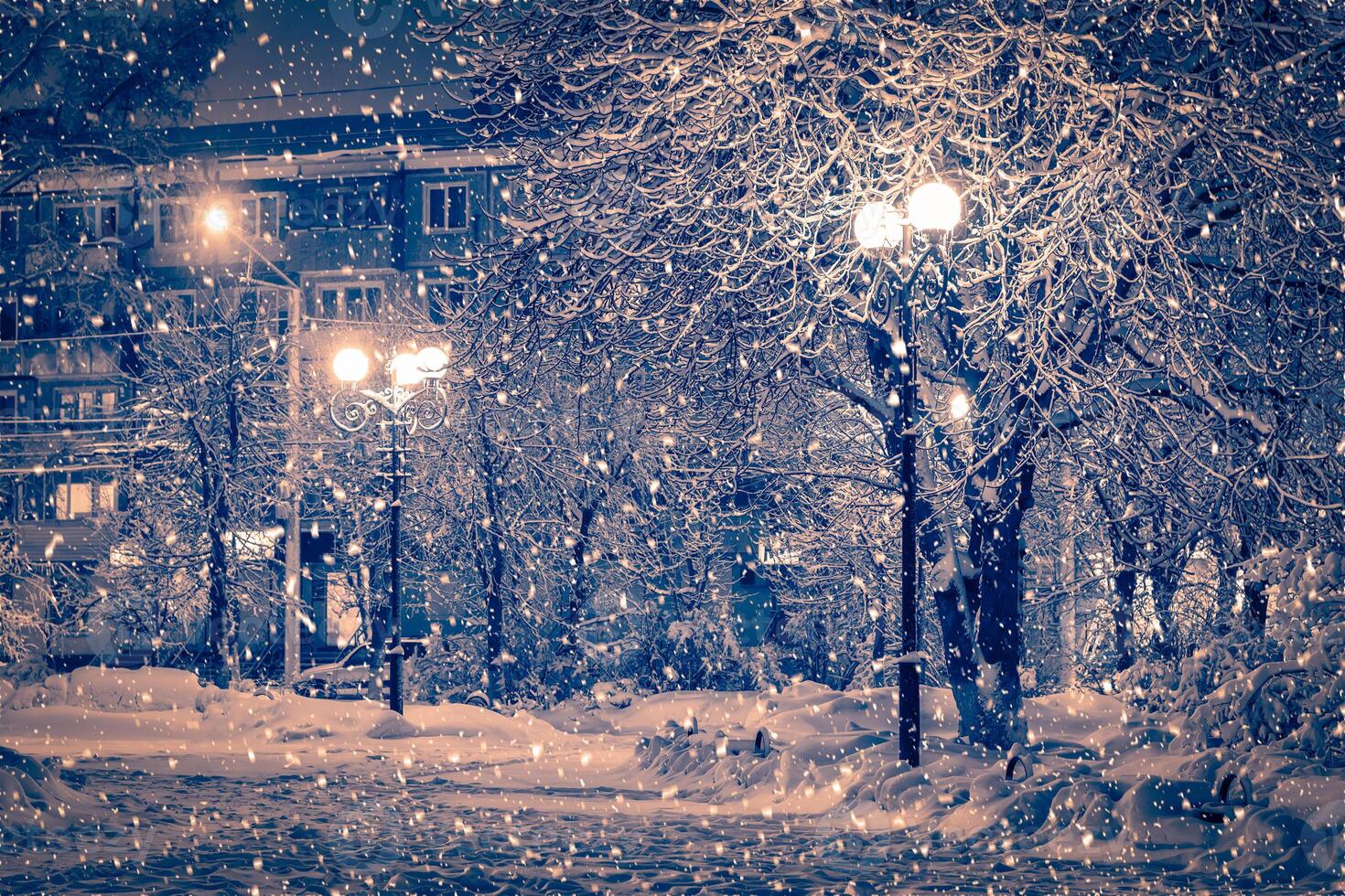 Winter night park with lanterns, pavement and trees covered with snow in snowfall. photo