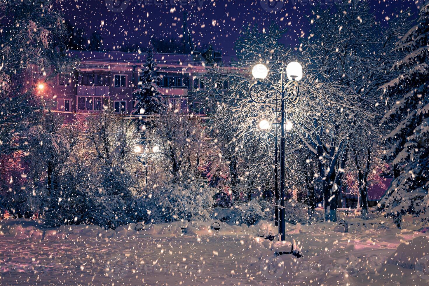 Winter night park with lanterns, pavement and trees covered with snow in snowfall. photo