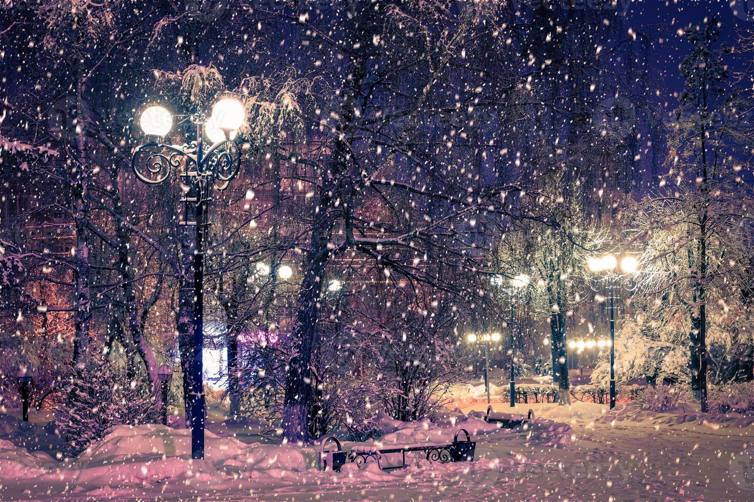 Winter night park with lanterns, pavement and trees covered with snow in snowfall. photo