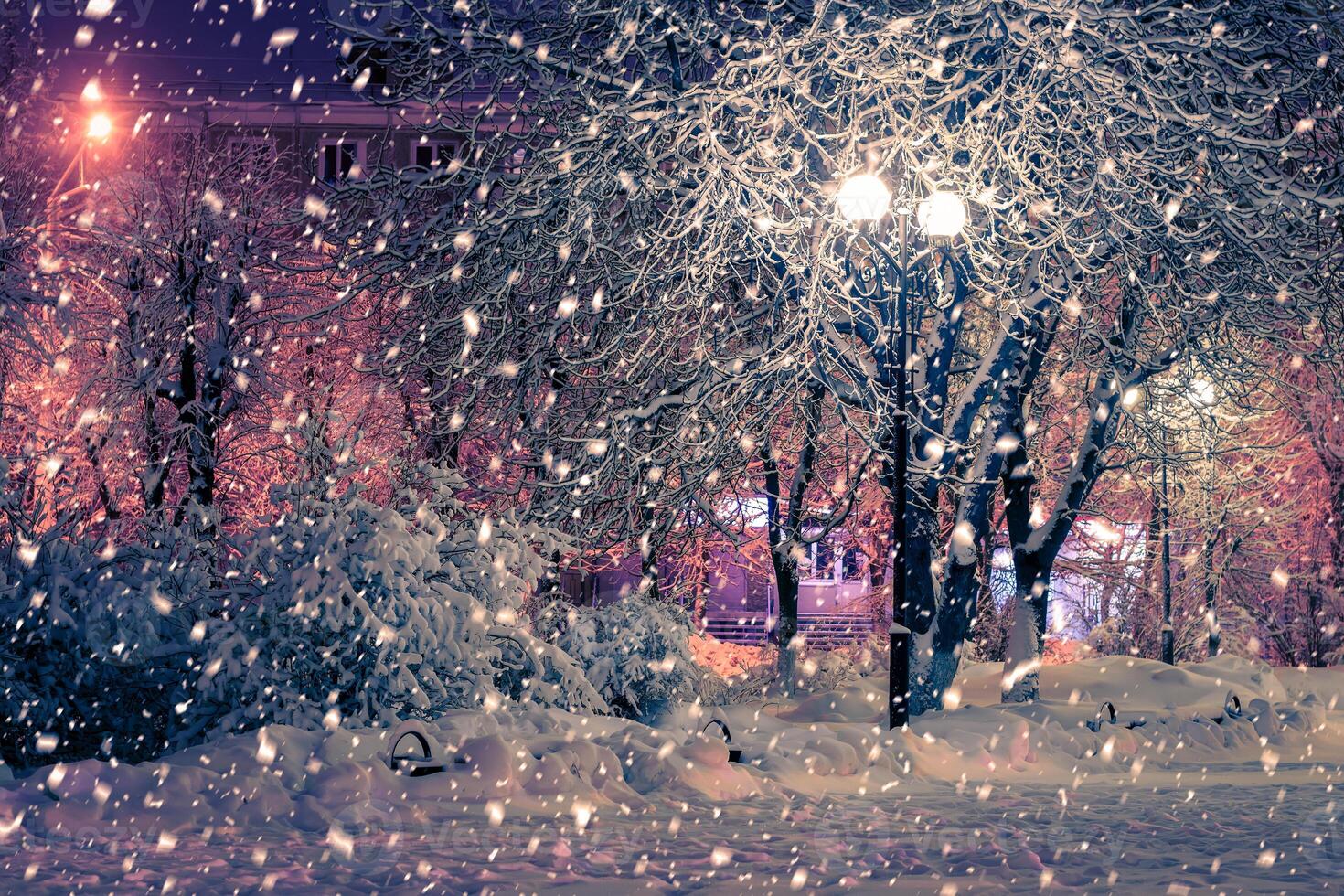 Winter night park with lanterns, pavement and trees covered with snow in snowfall. photo