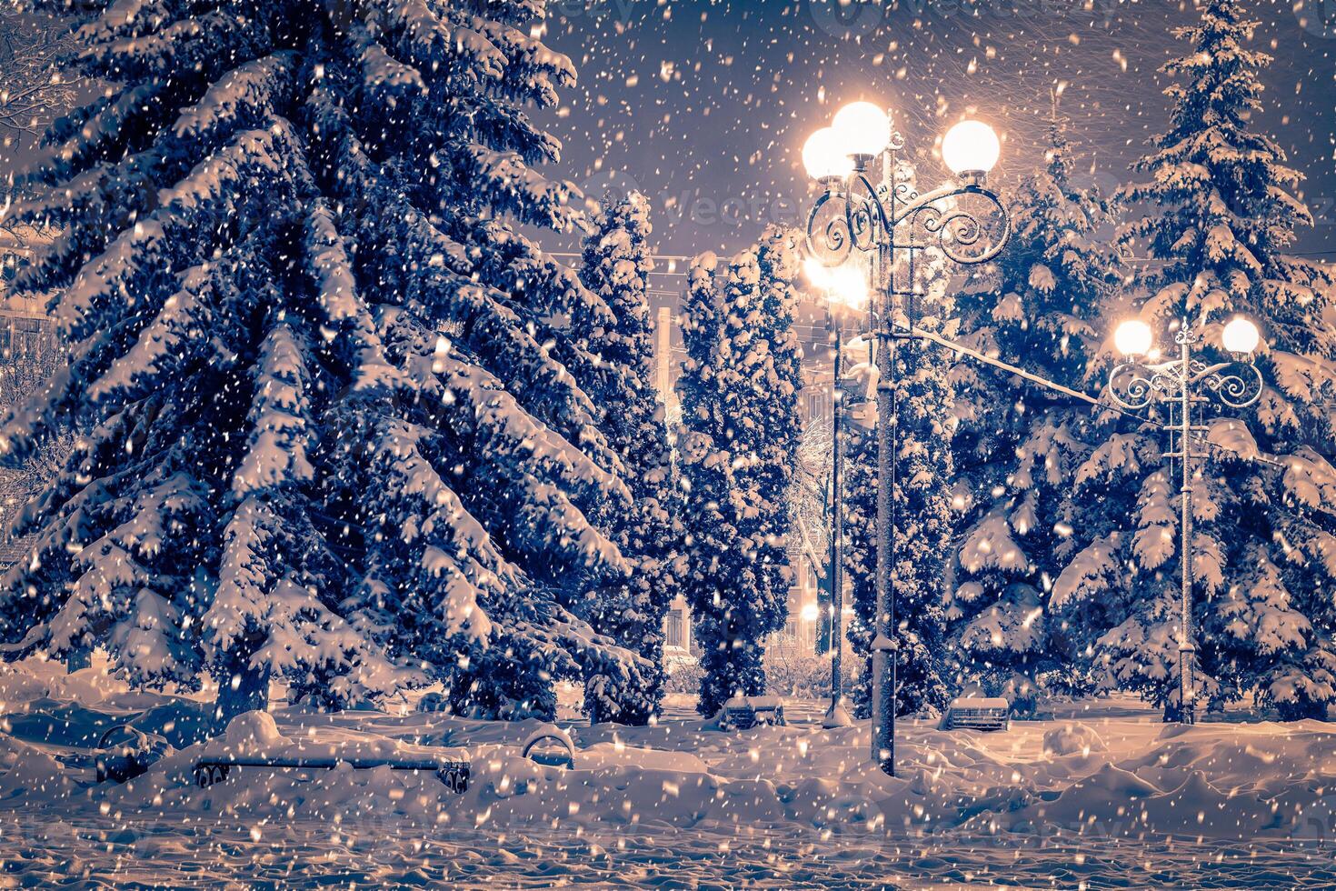 Winter night park with lanterns, pavement and trees covered with snow in snowfall. photo