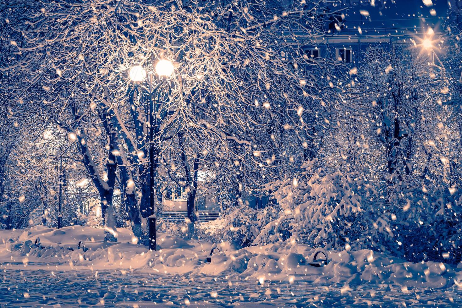 Winter night park with lanterns, pavement and trees covered with snow in snowfall. photo