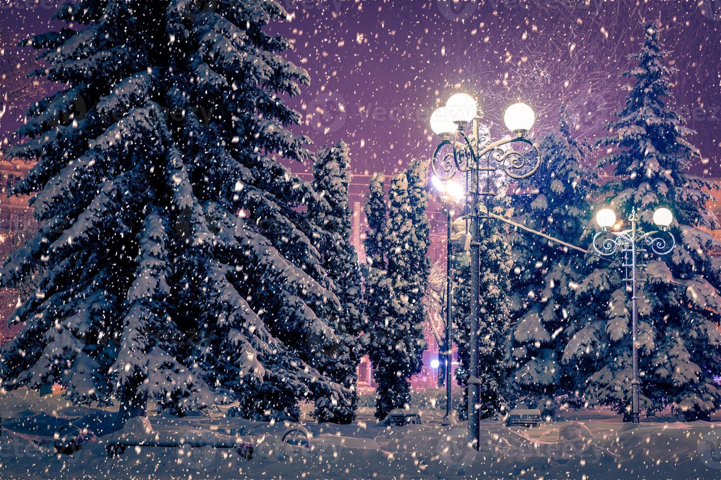 Winter night park with lanterns, pavement and trees covered with snow in snowfall. photo
