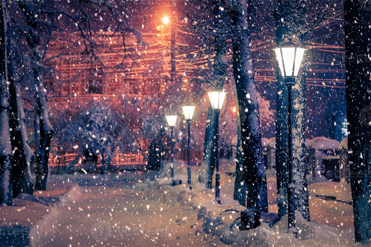 Winter night park with lanterns, pavement and trees covered with snow in snowfall. photo